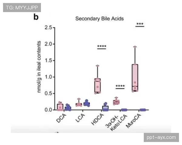 杜埃是否被高估?综合数据分析其技术上限与实际价值差距 杜埃是否被高估?综合数据分析其技术上限与实际价值差距